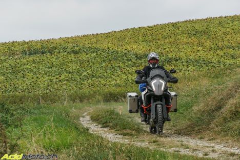 La Cathare Moto Trail - 700km de chemins dans la magnifique région de Carcassonne  Cathare-1050952