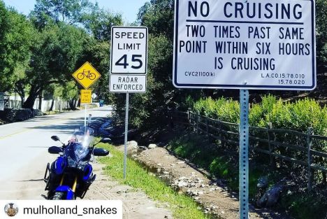 Un juge interdit de "cruiser" sur une route Head_nocruising_snake