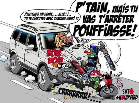 Comportement masculin Comportement masculin