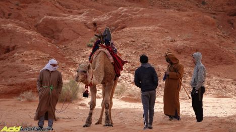 Raid Suricates - A la découverte de l'Algérie! Raid_suricates-04940