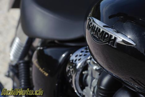 Triumph America - Easy Cruiser!