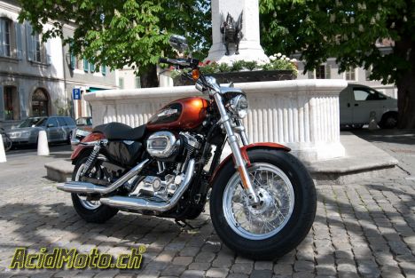 Harley-Davidson Sportster 1200 Custom - Authentique!