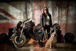 Vilner décline une version Bulldog anglais de la Triumph Speed Triple