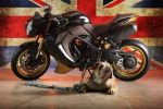 Vilner décline une version Bulldog anglais de la Triumph Speed Triple