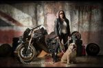 Vilner décline une version Bulldog anglais de la Triumph Speed Triple