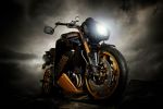 Vilner décline une version Bulldog anglais de la Triumph Speed Triple