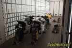 Back to the Roots 2011, 2300km d’Hondatitude