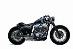 Harley-Davidson Sportster 1200 XL &quot;Stellalpina&quot; - Juste magnifique!