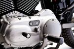 Harley-Davidson Sportster 1200 XL &quot;Stellalpina&quot; - Juste magnifique!