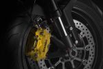 Ducati Monster 1100 EVO DIESEL