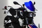 Ermax bichonne la BMW F800R