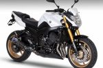 Yamaha FZ8 / Fazer 8 Limited Edition