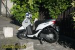 Honda Vision 110 – Mulot des villes