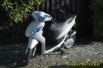 Honda Vision 110 – Mulot des villes