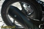 Honda Vision 110 – Mulot des villes