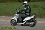 Honda Vision 110 – Mulot des villes