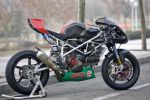 Radical "Pata Negra" RAD02 