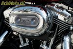 Harley-Davidson Sportster 1200 Custom - Authentique!