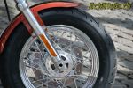 Harley-Davidson Sportster 1200 Custom - Authentique!