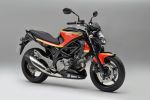 Suzuki Grande-Bretagne présente une Gladius "Barry Sheene"
