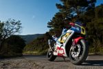 Honda VTR 1000 SP1 RC51, &quot;Fast Freddy&quot; Replica