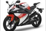 Une Yamaha YZF-R250 pour 2013, nous y croyons !
