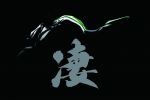 Kawasaki Z1000 2014, le suspense est à son comble
