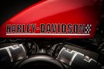 Harley-Davidson Softail Cross Bones &quot;Redhot&quot; par Roberto Rossi