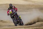 Joan Barreda Bort s&#039;impose lors de la 8ème étape du Dakar 2013 - David Casteu prend la tête du général