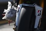 Lorenzo à Philip Island : "Paf la mouette !"