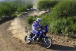Frans Verhoeven domine cette 12ème étape du Dakar 2013 