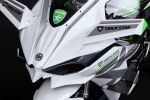 La Kawasaki Ninja H2R by Trick Star Racing, ou quand le carbone devient &quot;has been&quot;