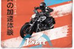 Du 3 au 6 septembre 2015 en Alsace - 30e anniversaire de la Yamaha VMAX