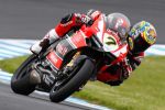 WSBK à Phillip Island - Le plein d’émotions pour Davies et Bayliss