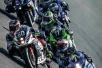 Endurance book 2016 par David Reygondeau – Il arrive !