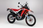 Honda CRF 250 Rally – Bientôt sur nos routes (ou nos chemins) ?