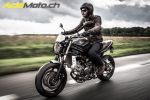 Suzuki SV 650 Scrambler - Une version plus aguicheuse arrive