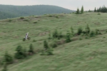 Vidéo - La moto offre un sentiment de liberté incontestable