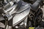 Essai Triumph Tiger 800 XR et XC 2018 - La tigresse hausse le ton