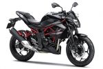 Kawasaki lance sa nouvelle Z250 SL en Asie