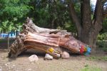 De Montevideo à Austin (10) - Bariloche à Mendoza