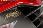 Kawasaki présente la ZZR1400 30th Anniversary Edition
