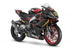 Aprilia RS660 Trofeo - La sportive mid-size en tenue de piste